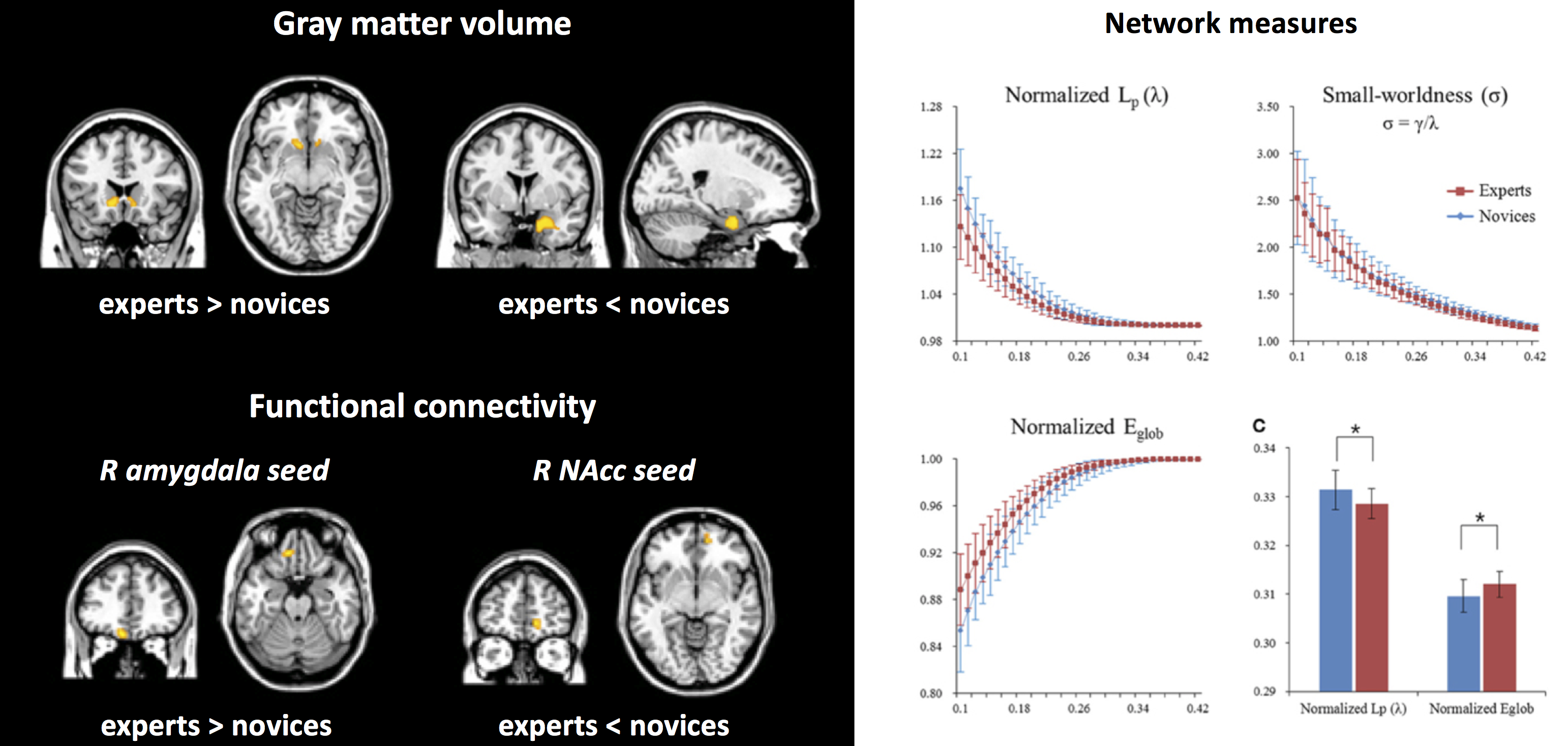 Nucleus accumbens and amygdala structure and connectivity in professional Go players