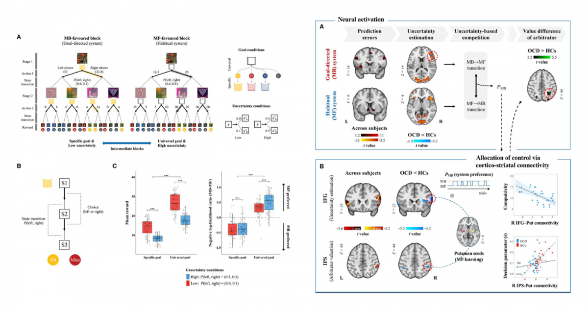 Neurocomputational model of compulsivity