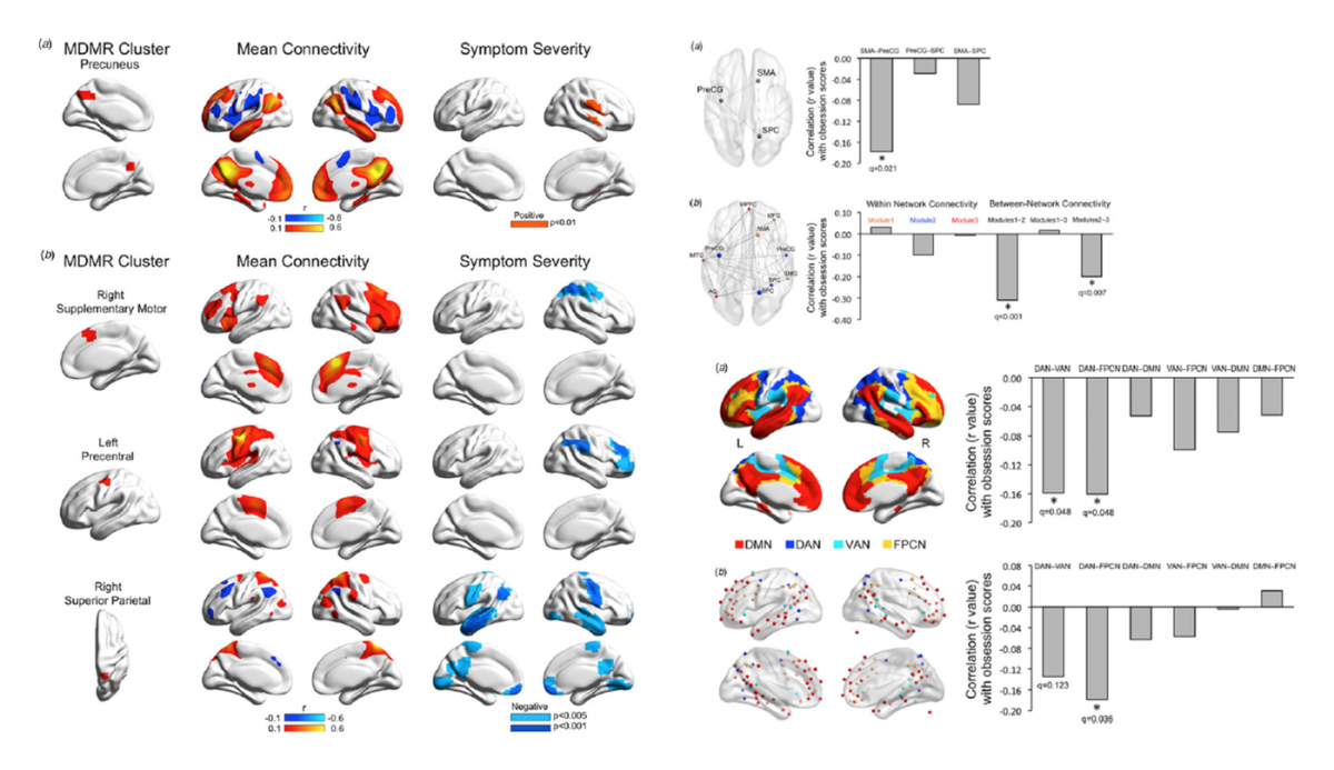 Neural networks associated with obsessions and delusions
